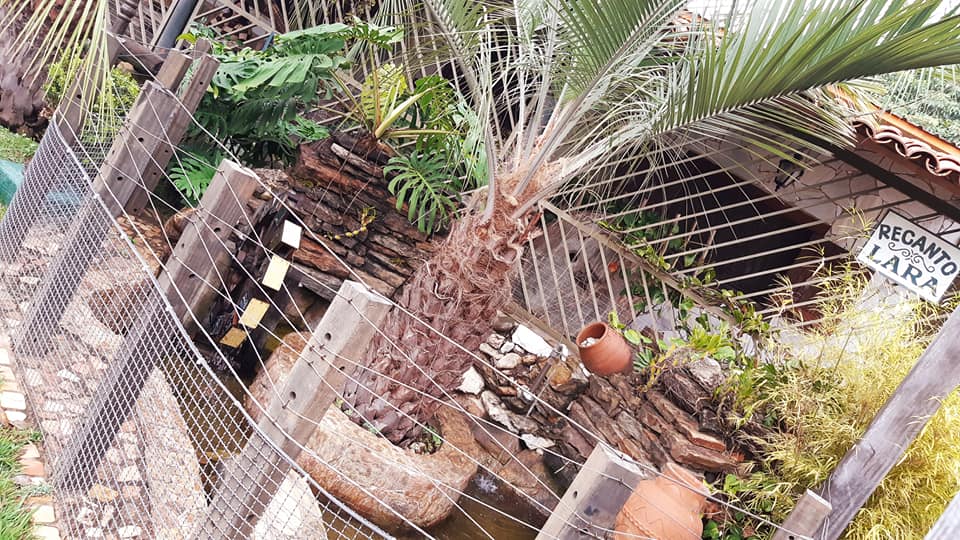 ChoppRampim ChoppRampim