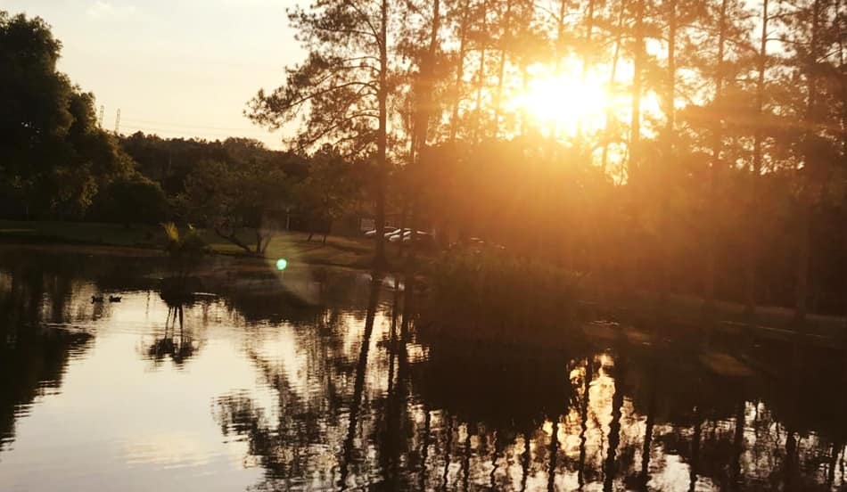 ChoppRampim ChoppRampim